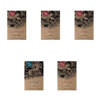 Bella Italia Herbs seed kit