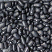 Tepary Bean Black Mitla (Phaseolus acutifolius) seeds