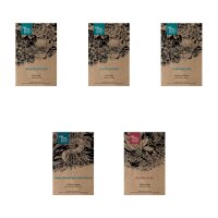 Summer Meadow Flowers - Seed kit