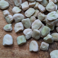 Grass pea (Lathyrus sativus) seeds