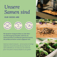 Men’s Herbs - Traditional herbs for strength and...