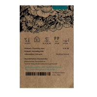 Crimson clover (Trifolium incarnatum) seeds