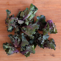 Kale sprouts (Brassica oleracea var. gemmifera x...