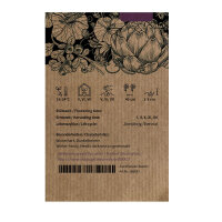 Curly kale ‘Emerald Ice’ (Brassica oleracea convar. acephala var. sabellica) seeds