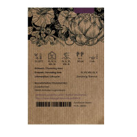 Green cauliflower ‘Verde di Macerata’ (Brassica oleracea) seeds