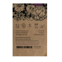 Chilli Elefant (Capsicum annuum) Organic Seeds