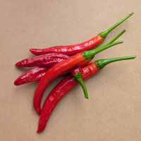 Korean Chilli Taeyang Medium (Capsicum annuum) –...