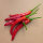Korean Chilli Taeyang Medium (Capsicum annuum) – Organic Seeds