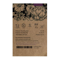 Sweet Pepper Sweet Chocolate (Capsicum annuum) Seeds
