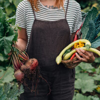 Heirloom Tomato Varieties (Organic) - Seed kit