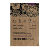 Netted melon Petit gris de Rennes (Cucumis melo) organic seeds