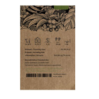 Moonflower (Ipomoea alba) seeds