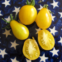 Tomato Dattelwein (Solanum lycopersicum) seeds
