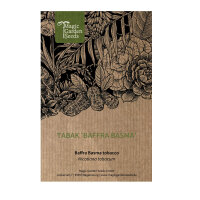 Baffra Basma tobacco (Nicotiana tabacum) seeds