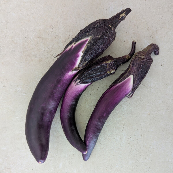 Aubergine Tarim (Solanum melongena) organic seeds