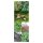 Happy Cat Herbs (Organic) - Seed kit