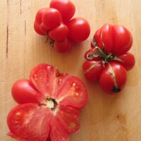 Voyage Tomato (Solanum lycopersicum) seeds