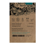 Mexican Sunflower (Tithonia rotundifolia) Seeds