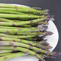 Purple Asparagus Argenteuil (Asparagus officinalis) Organic Seeds