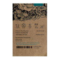 White Cosmos Sensation Purity (Cosmos bipinnatus) seeds