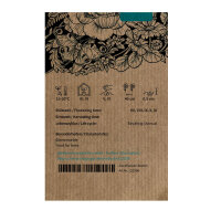 Bicolour Cosmos Sensation Candy Stripe (Cosmos bipinnatus) seeds