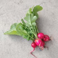 Radish Cherry Bell (Raphanus sativus) organic seeds