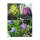 Early Spring Flowers - Seed kit gift box