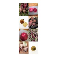 Colourful Beets - Seed kit gift box