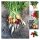 Colourful Radishes All Year Round - Seed kit gift box