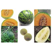 Sweet & Hardy Melons - Seed kit gift box