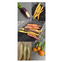 Colourful Carrots - Seed kit gift box