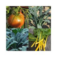 Old Historical Vegetable Varieties (Organic) - Seed kit gift box