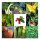 Vegetable Variety (Organic) - Seed kit gift box