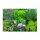 Classical Culinary Herbs (Organic) - Seed kit gift box