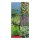 Mint Variety - Seed kit gift box