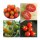 Old Tomato Varieties - Seed kit gift box