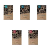 Butterfly Garden - Seed kit gift box