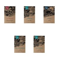 Fast-Growing Flowers - Seed kit gift box