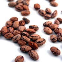 Pole Bean Borlotto Lingua Di Fuoco (Phaseolus vulgaris) organic seeds