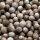 Cilantro / Leaf Coriander (Coriandrum sativum) organic seeds