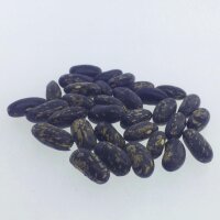 Snap Bean / Dwarf French Bean Tendergreen (Phaseolus vulgaris) seeds