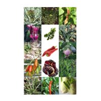 Italian Vegetable Rarities - Seed Kit Gift Box
