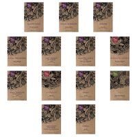 Exquisite Vegetable & Herbal Delicacies - Seed Kit Gift Box