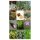 Exquisite Vegetable & Herbal Delicacies - Seed Kit Gift Box