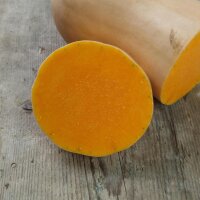 Butternut Squash Ponca (Cucurbita moschata) organic seeds