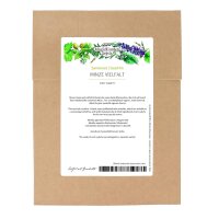 Mint Variety - Seed kit