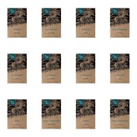 European Medicinal Plants - Seed kit