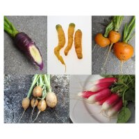 Good Companion Plants: Carrots & Radishes - Seed kit