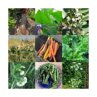 Old Historic Vegetable Assortment - Seed kit