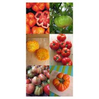 Delicious Heirloom Beefsteak Tomatoes - Seed kit